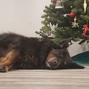 Meet your Posher, Lucy